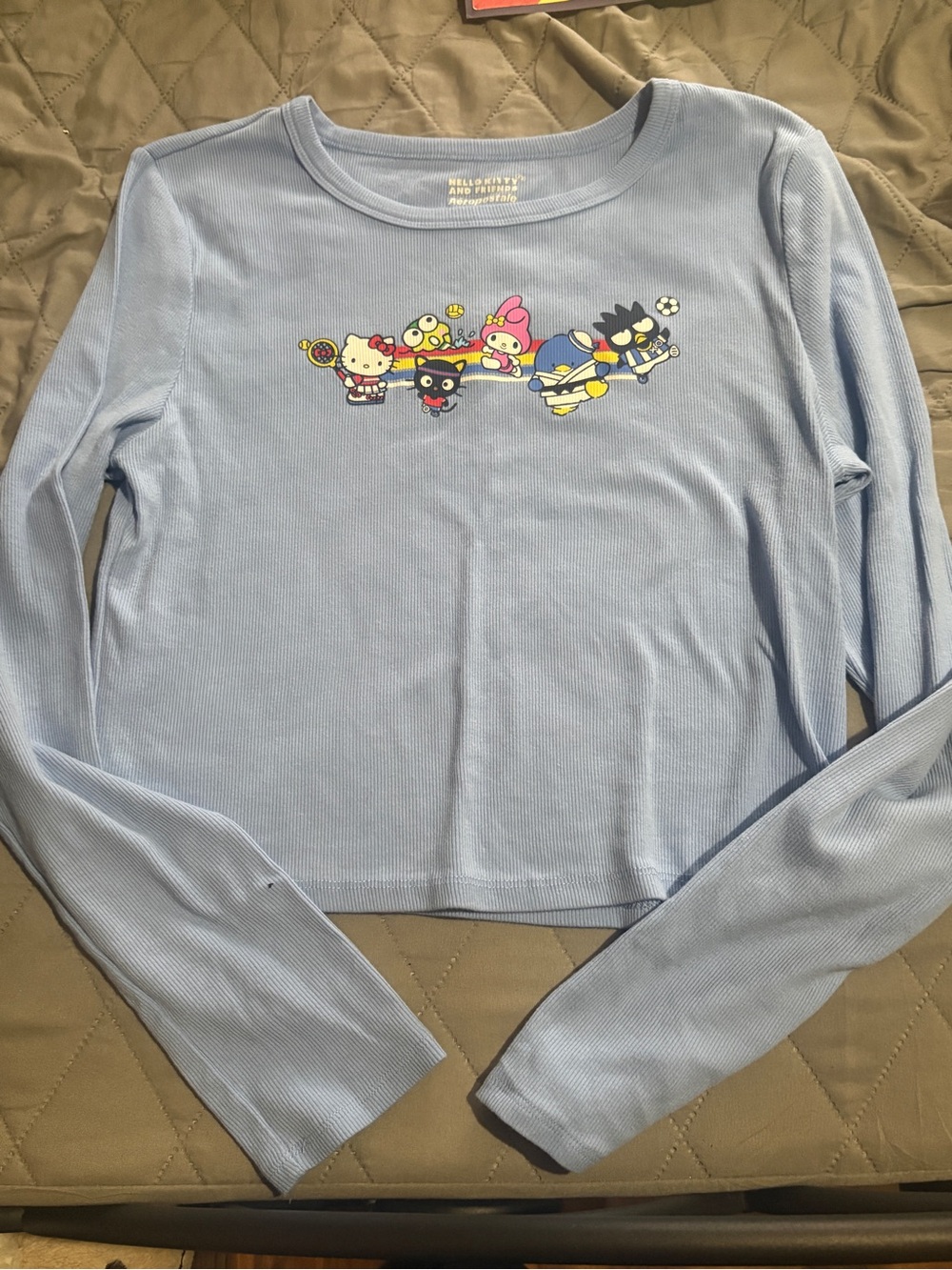 Hello Kitty Light Blue Ribbed Long Sleeve Crop Top with Character Graphic